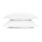 Luxe Sham (Paragon), Set of 2
